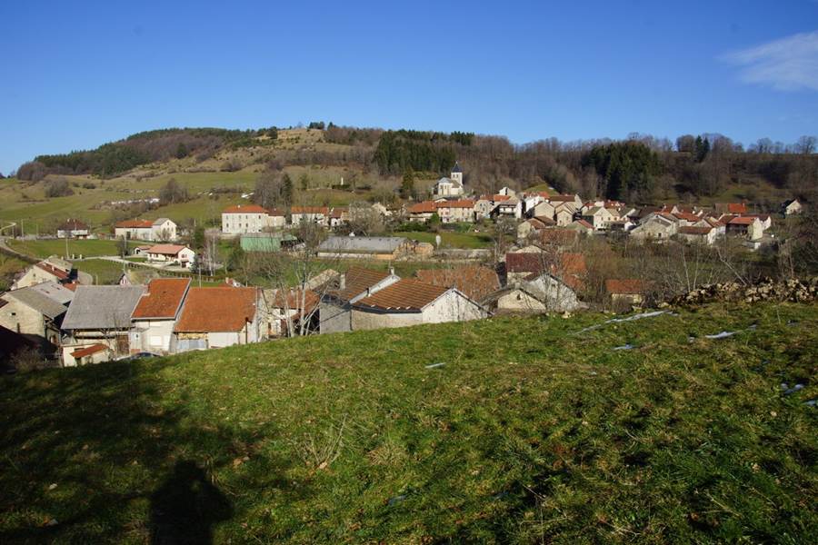 Arandas