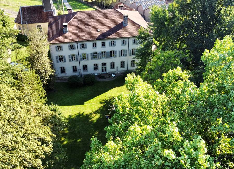 Le parc du Château avec ses arbres remarquables