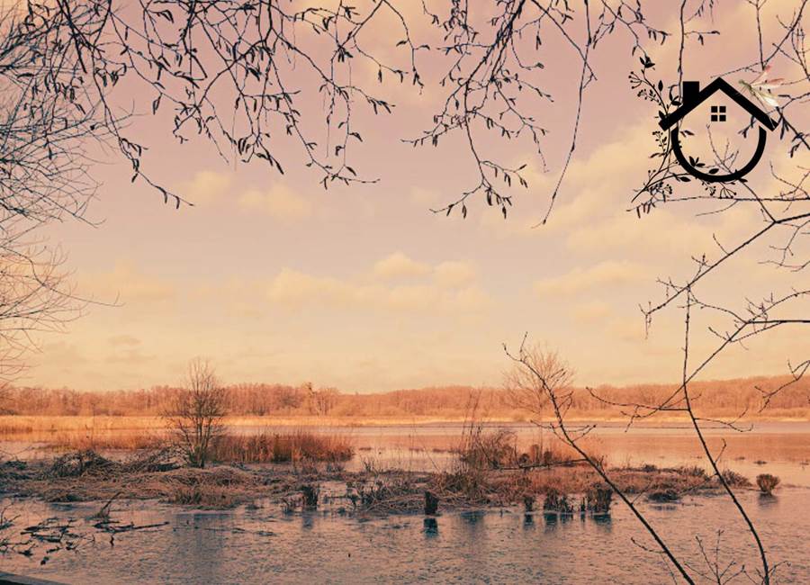 Aube Sauvage - Virelles