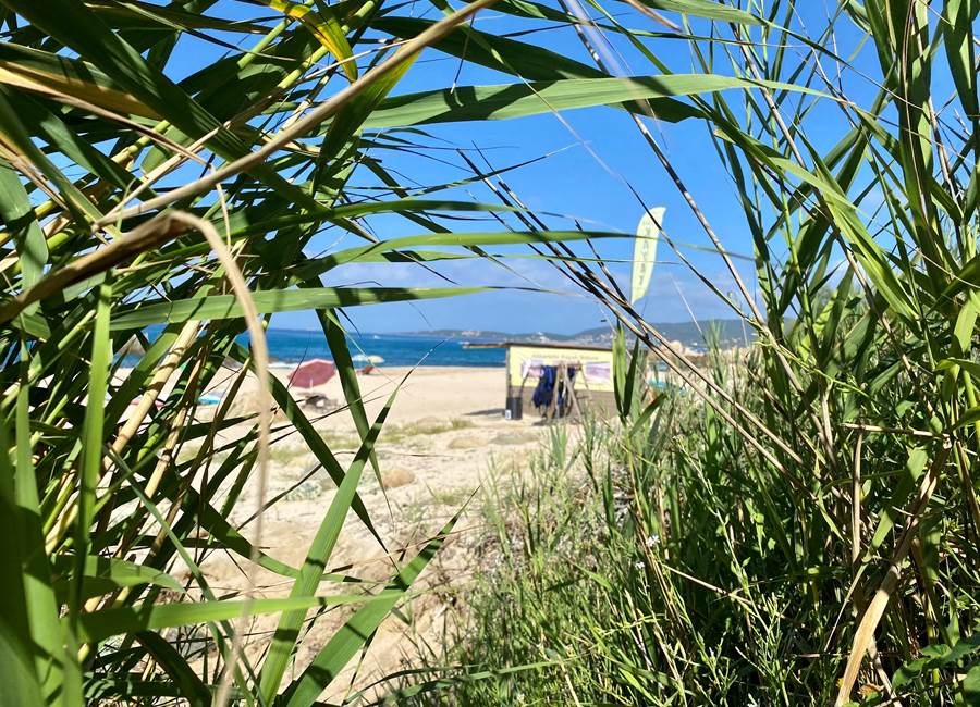 Abbartello kayak Corse, découverte de l'environnement
