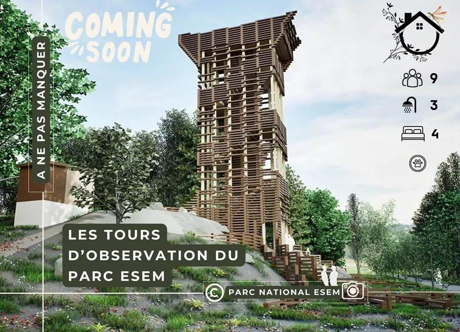 Parc ESEM- La Demoiselle ô bois