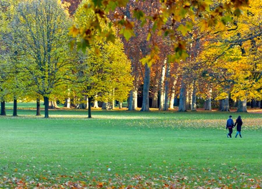 parc Tête dOr