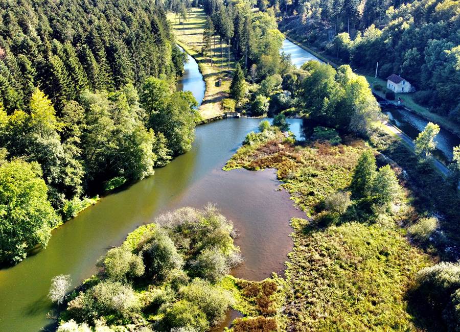 Le Côney avec le canal d'amenée de la Manufacture et le canal des Vosges