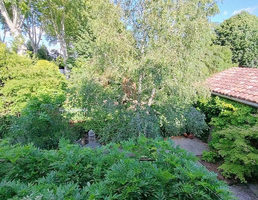 Vue sur jardin