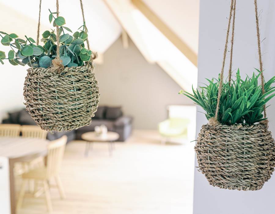 décoration / decor