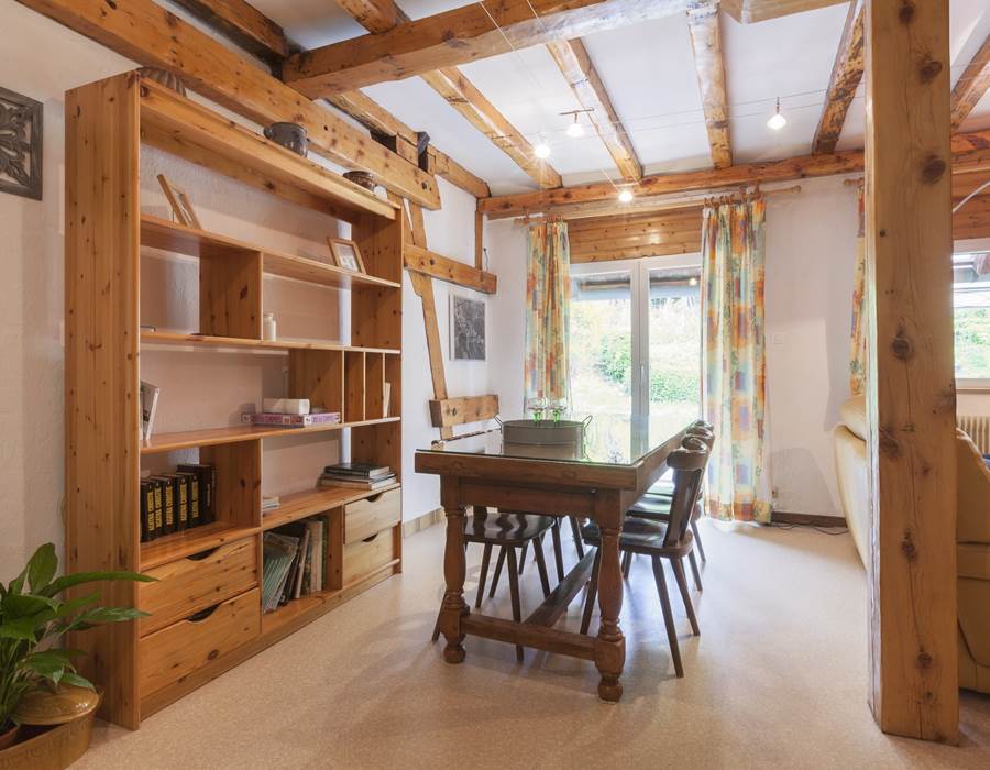 pièce à vivre / living room