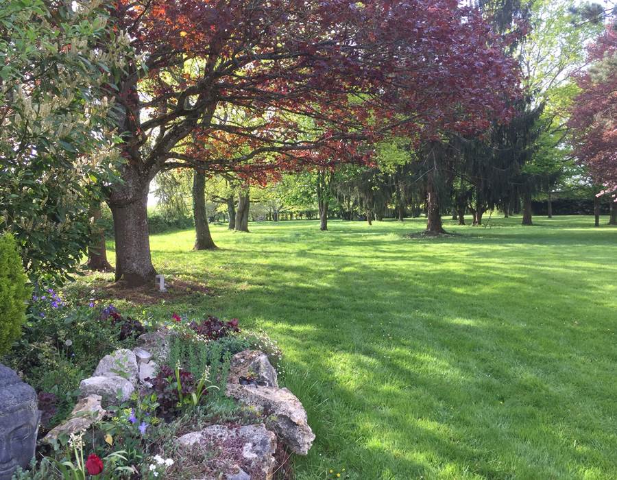 Le Domaine Enchanté - Parc