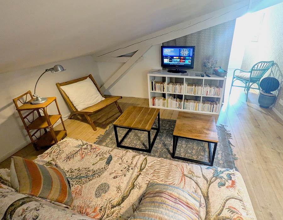 salon TV NETFLIX 16 Bis gite hotel-marssac-albi-gaillac