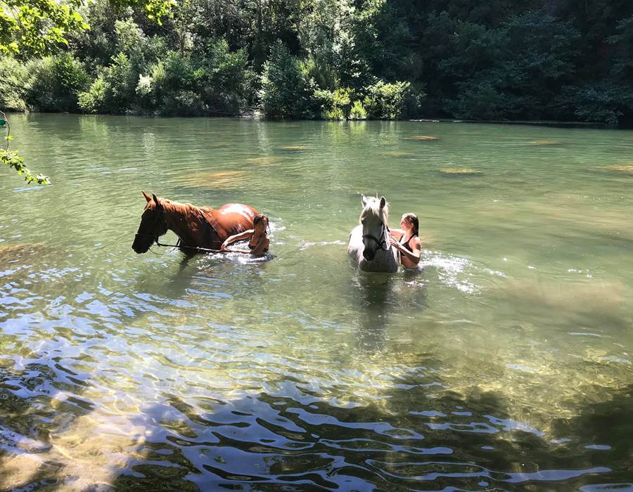 baignade à 4 minutes a pied du camping
