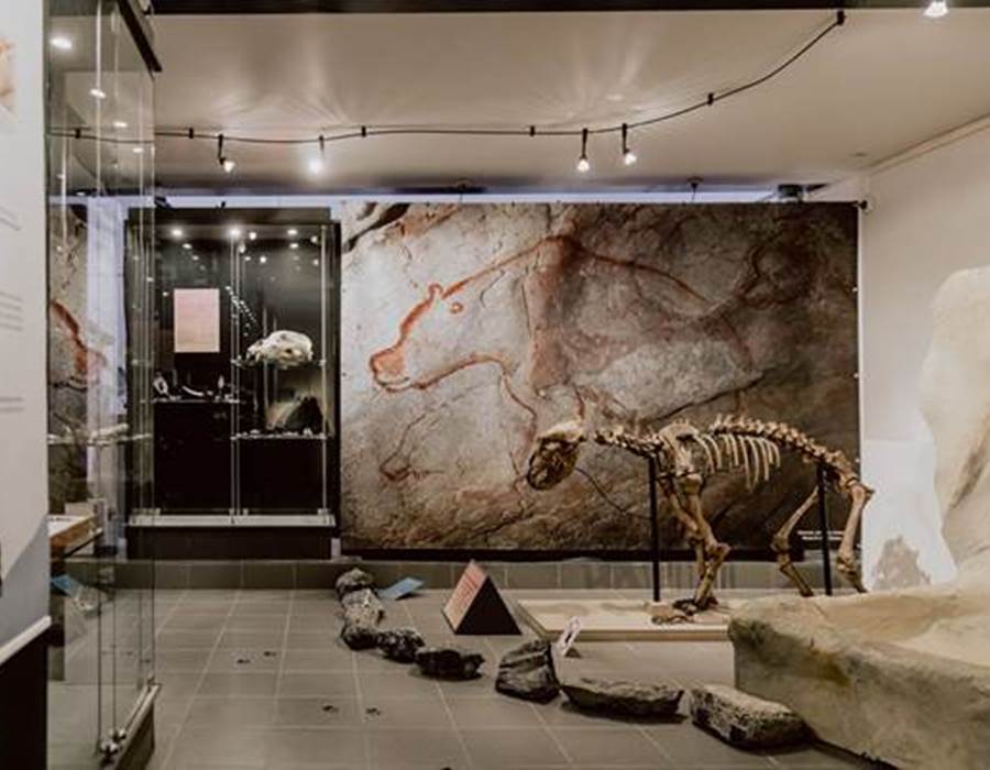 musée+du+malgré-tout+4