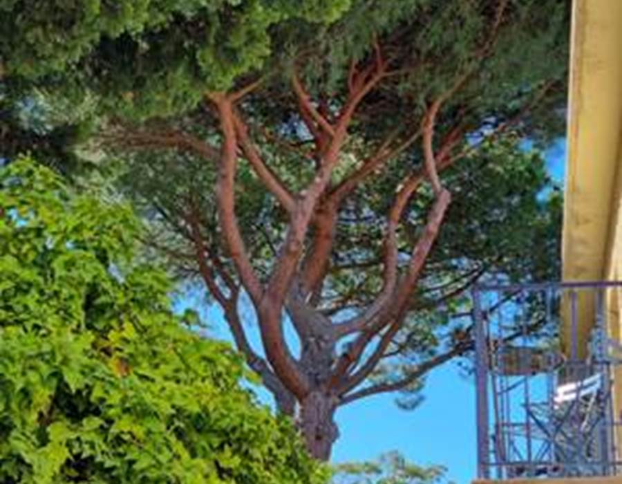 chambre-sur-jardins