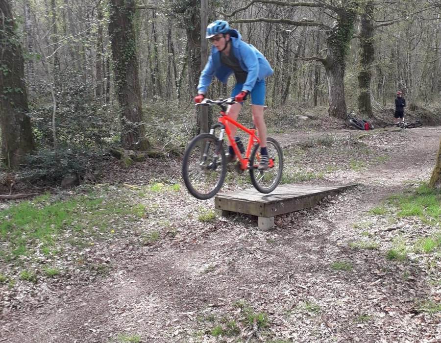 57294218_388496258369001_6571491746054668288_n