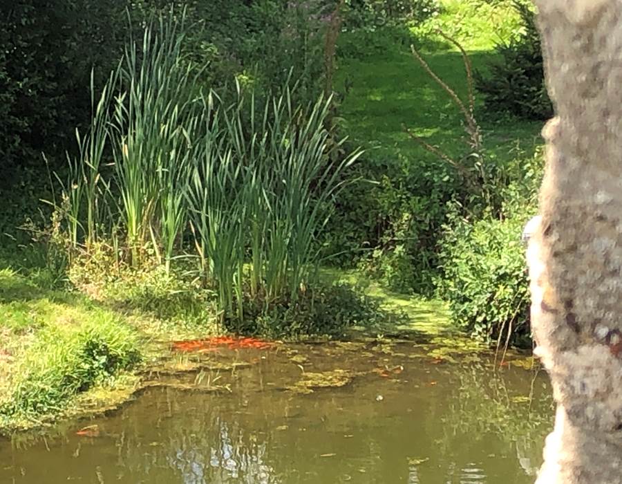 sous votre fenêtre...