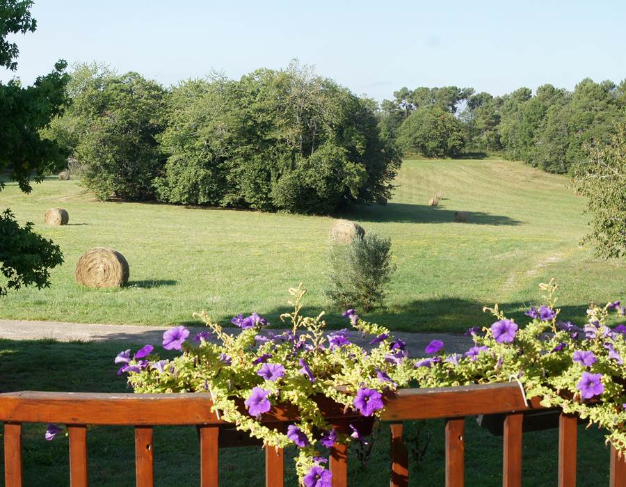 Vue de la terrasse 2