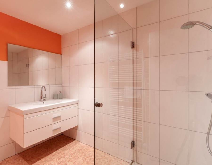 salle de bain / bathroom