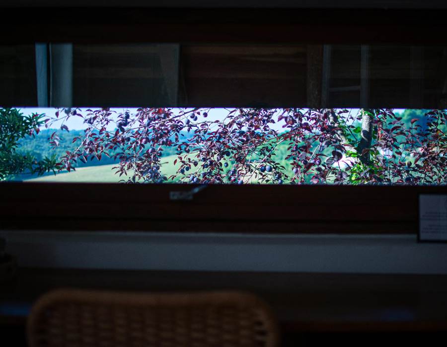 Chambre d'hôtes les chemins de Berdis Simone extérieur4