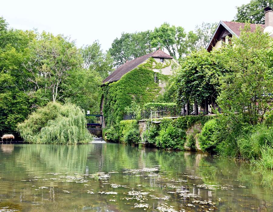 Gîte du Moulin Jancigny 23 éclaricie allégé