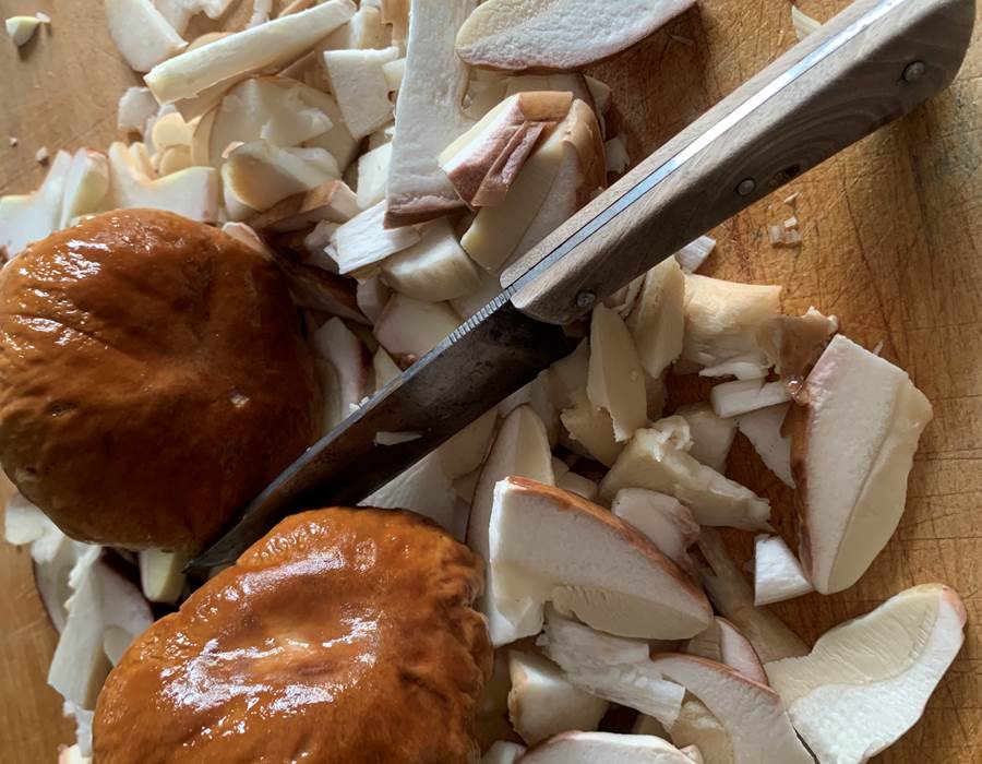 cuisine-champignons-sejour-nature