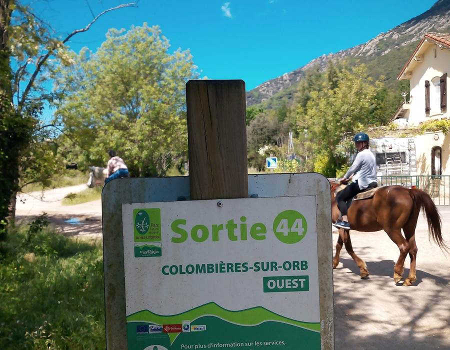 186515324_4586032994758474_6477131941356707683_n