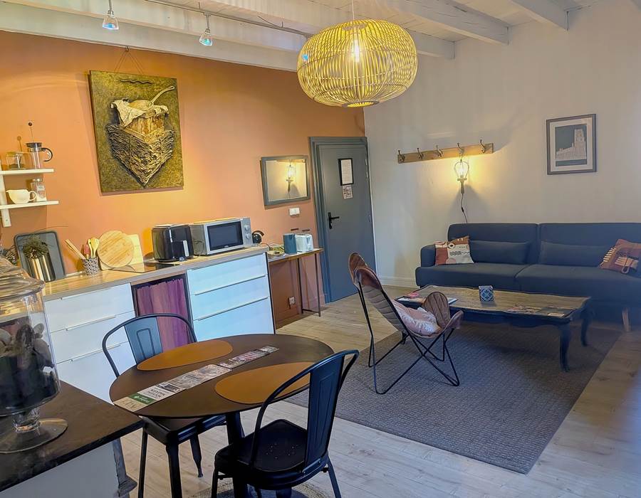 16 bis gite hotel-albi-marssac-salon-cuisine-appartement