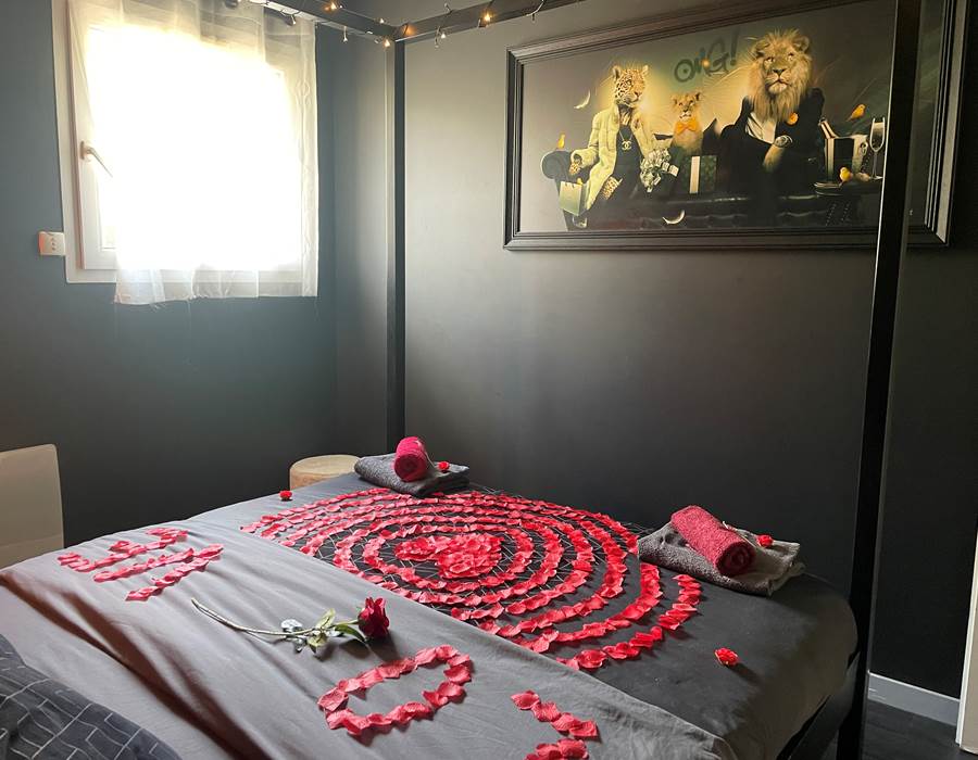 Chambre avec lit baldaquin 160*200