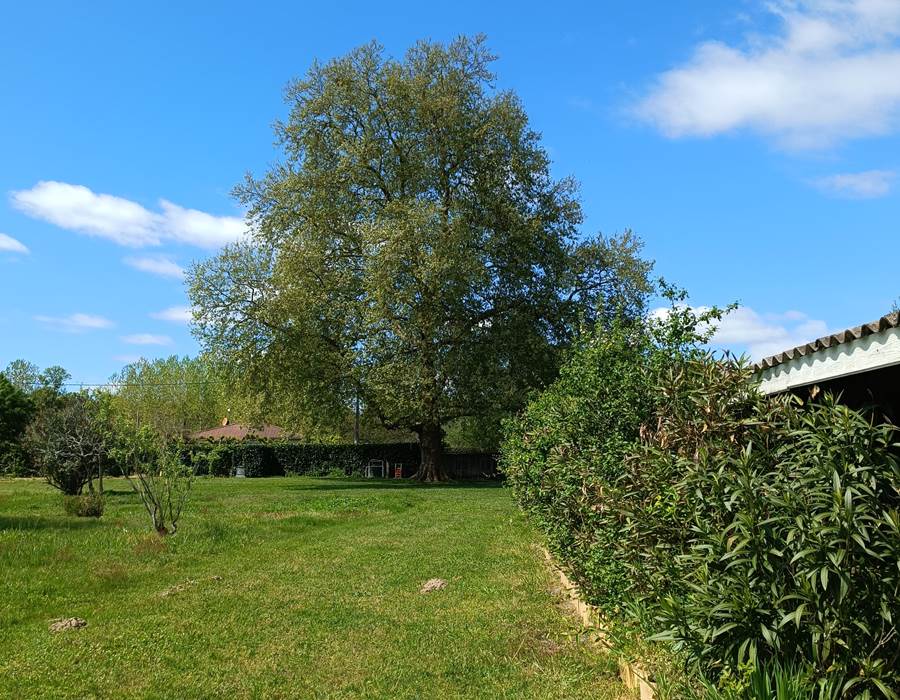 Gîtes, chambre d'hôtes et table d'hôtes gastronomique à Casteljaloux Lot et Garonne, piscine, jacuzzi et spa