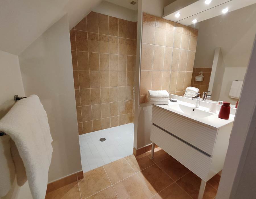 le-sherman-salle-de-bain-lumineuse-spacieuse-nouvelle-robinetterie-propreté-beauté-sèche-cheveux-miroir