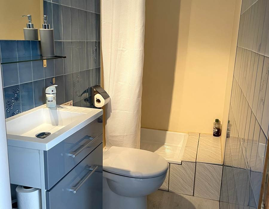 Chambre Grosminet Salle d'eau
