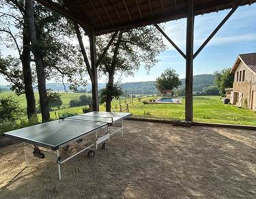 ping pong