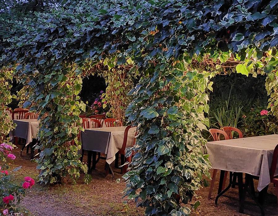 20240727_213933 Tonelle végétalisée éclairée