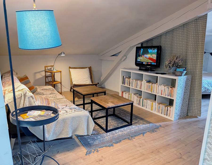 salon TV NETFLIX 16 Bis gite hotel-marssac-albi