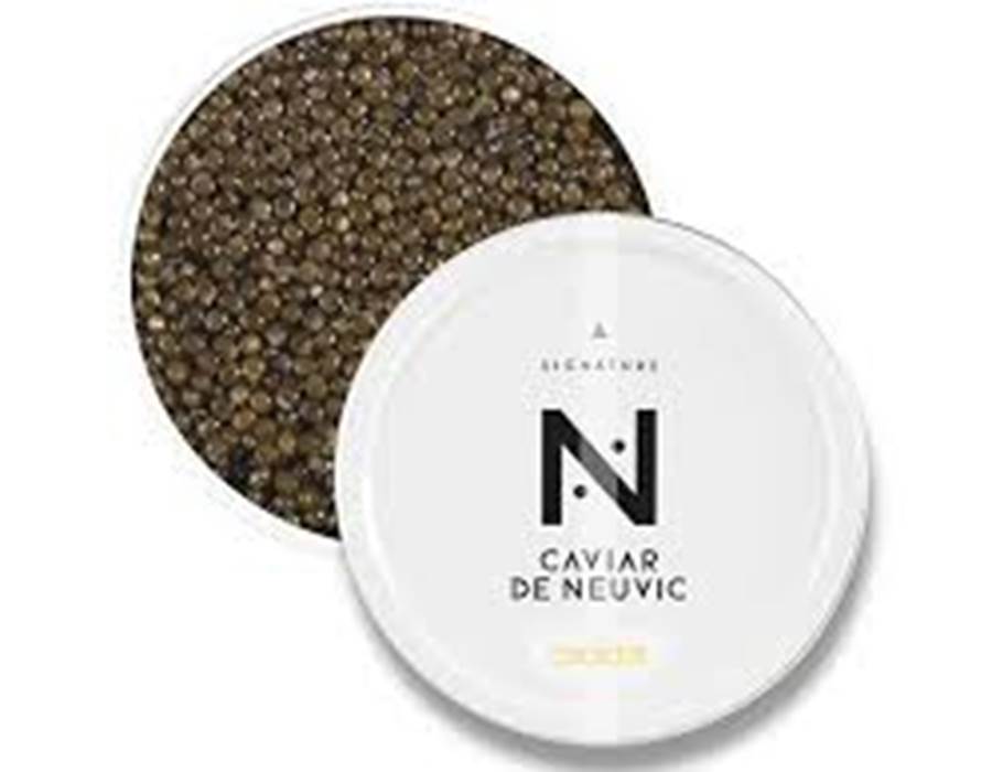 caviar oscietre