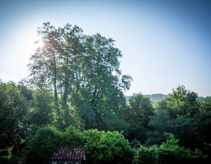 Chambre d'hôtes les chemins de Berdis Blanche vue extérieure