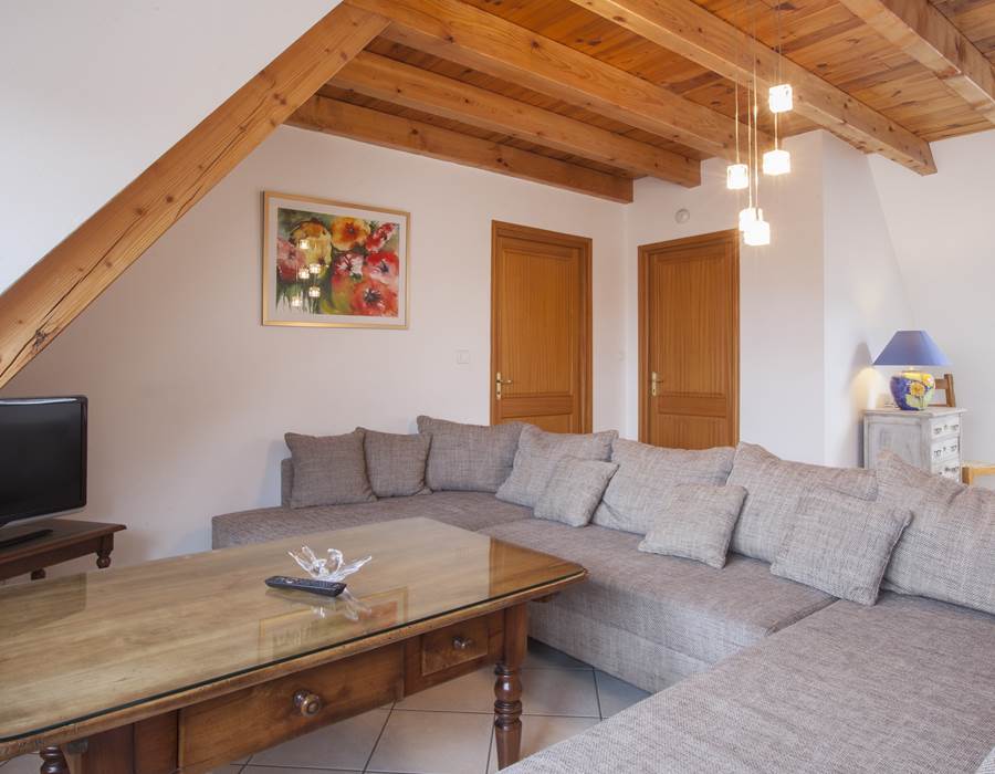 pièce à vivre / living room