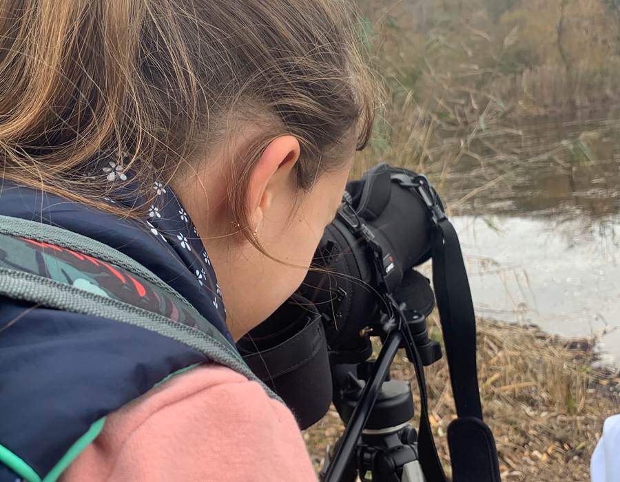 oiseaux-foret-morvan-bourgogne