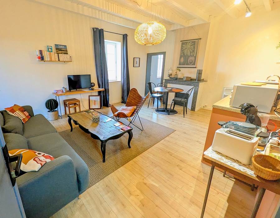 16 bis gite hotel-albi-marssac-salon-vue sur jardin-tv-netflix-appartement