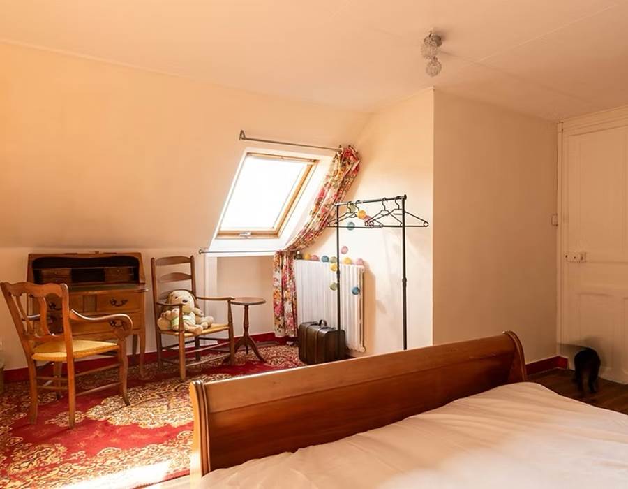 Chambre d'hôtes, RIEC SUR BELON, Chat Aristo