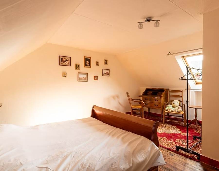 Chambre d'hôtes, RIEC SUR BELON, Chat Aristo