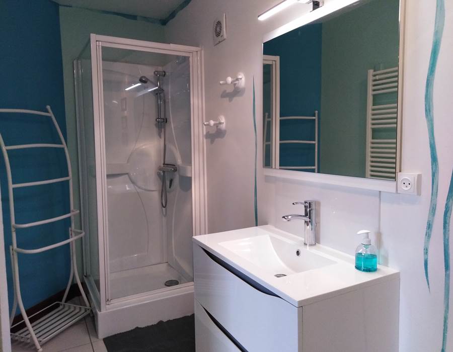 Salle d'eau au rez-de-chaussée