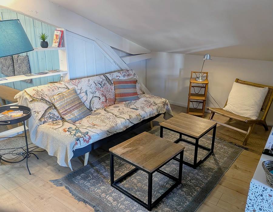 salon TV NETFLIX 16 Bis gite hotel-albi