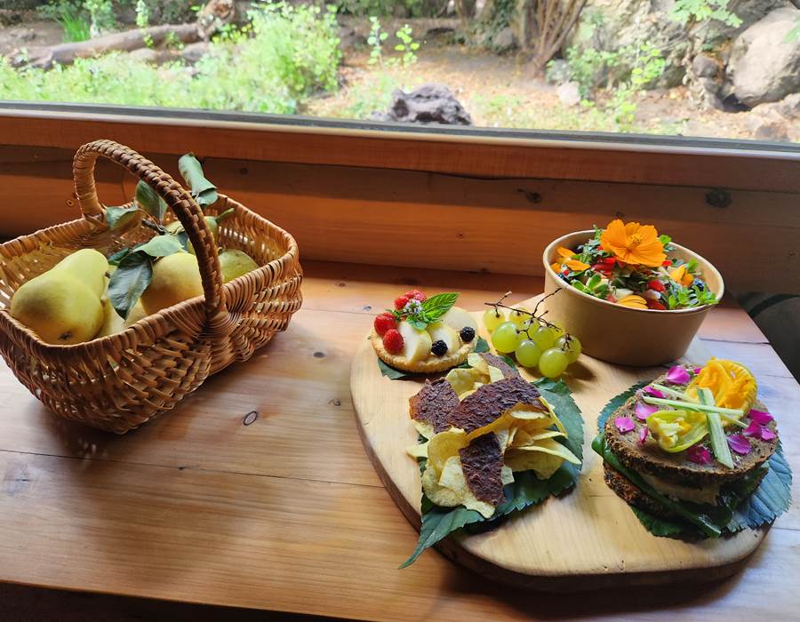 Dégustez un Pique-Nique Fèrmier insolite et observez la nature