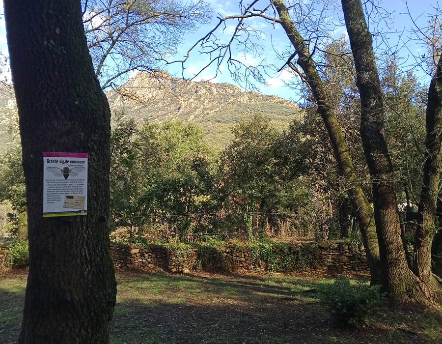 IMG_20241008_103940_998