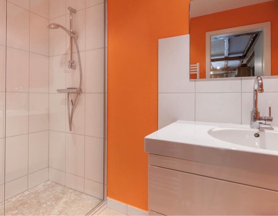 salle de bain / bathroom