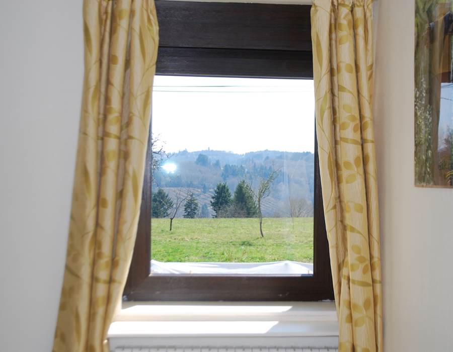 vue depuis la chambre Paul Rebeyrolle Le Ranch des Lacs