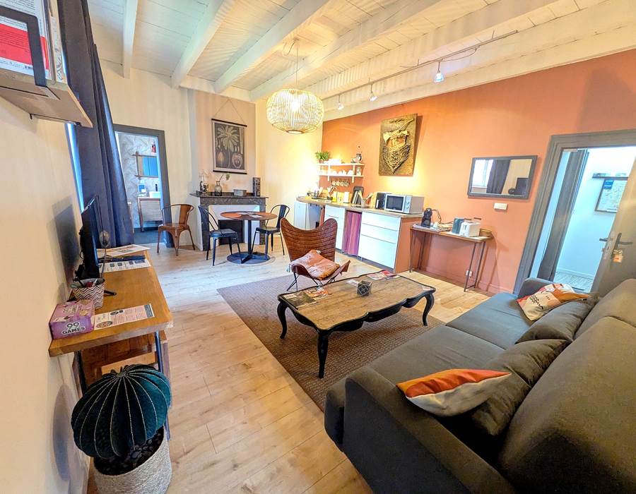 16 bis gite hotel-albi-marssac-salon-salle à manger-cuisinne équipée-appartement