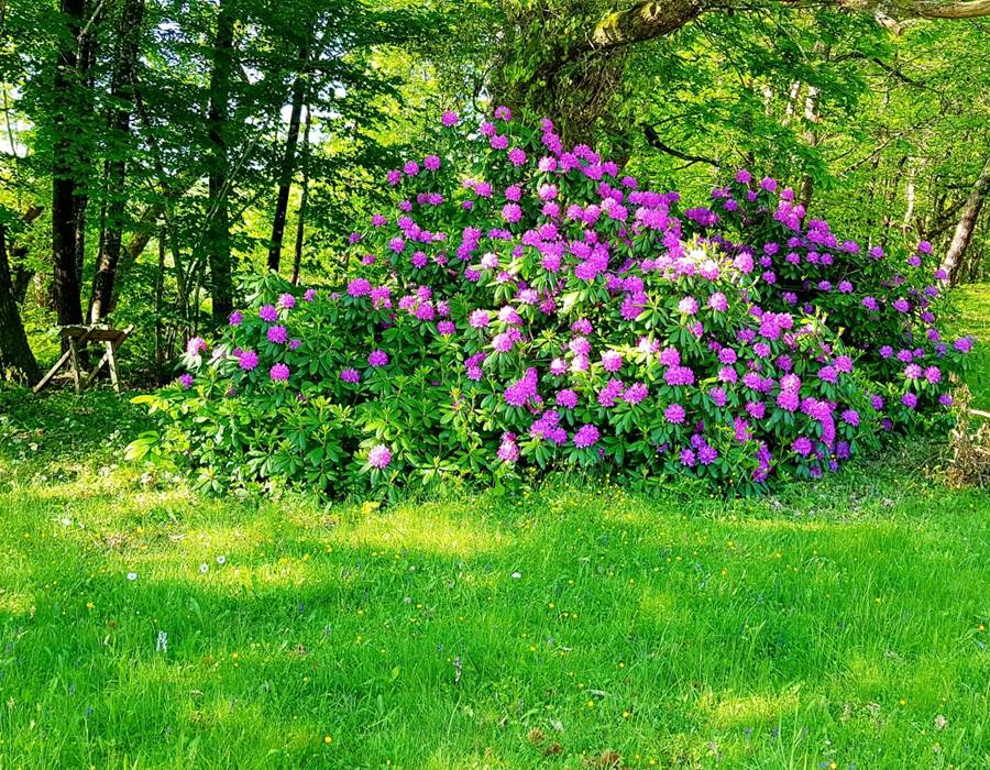 PhotoGrid_1526758797264