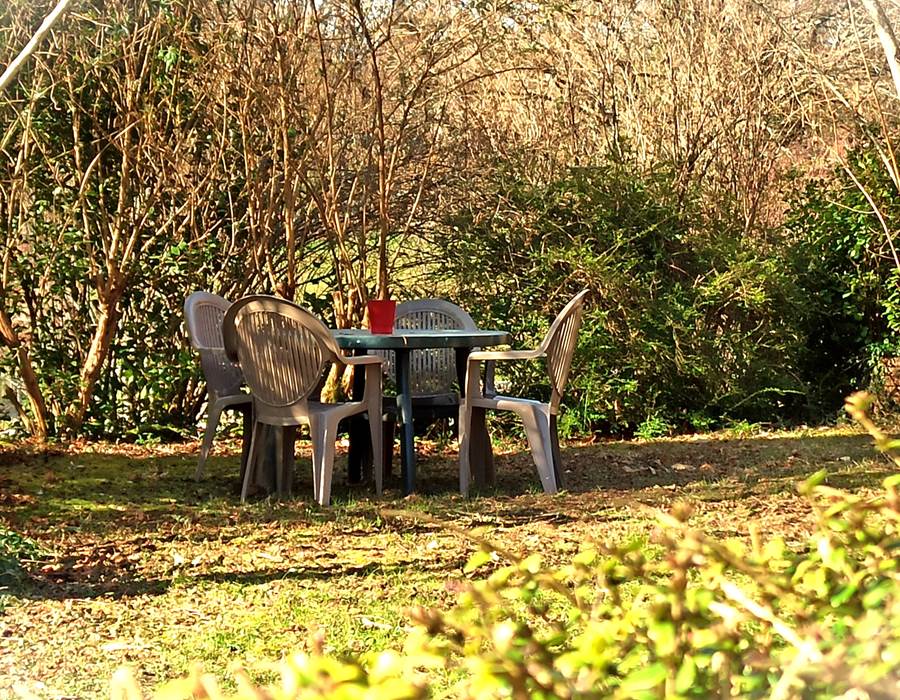 Une terrasse abritée sous les arbres … C'est l'hiver en Limousin !