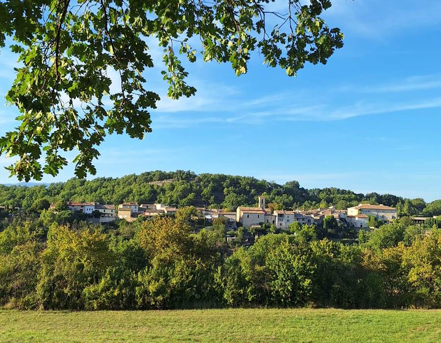 3433b6fb-623e-4f01-84f1-5304b56fbaa6