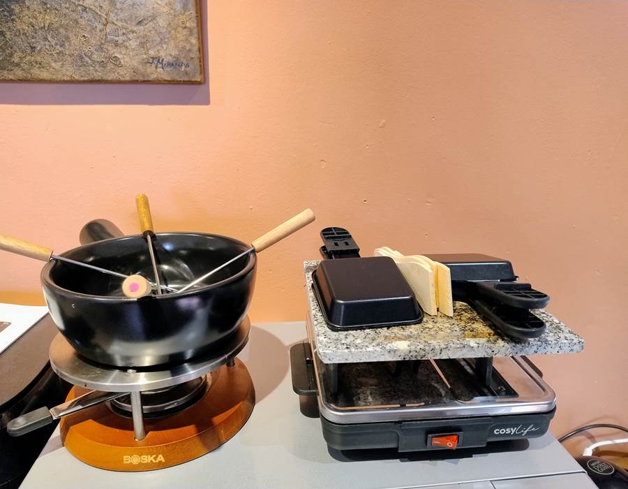 services a fondue savoyarde et service a raclette-marssac-albi-16 bis gite hotel