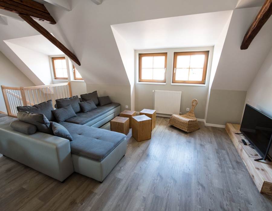 pièce à vivre / living room